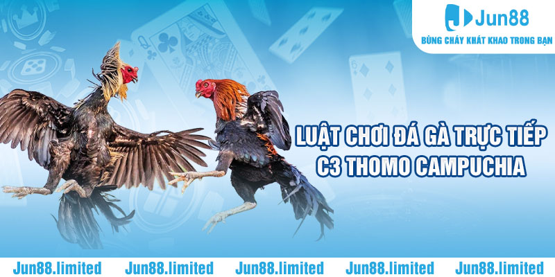 Luật chơi đá gà trực tiếp C3 Thomo Campuchia 